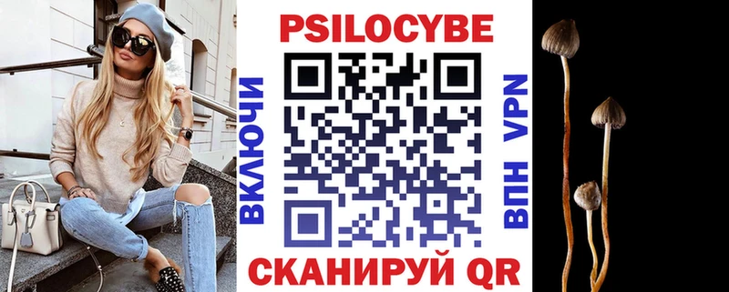 где можно купить   Светогорск  Галлюциногенные грибы прущие грибы 